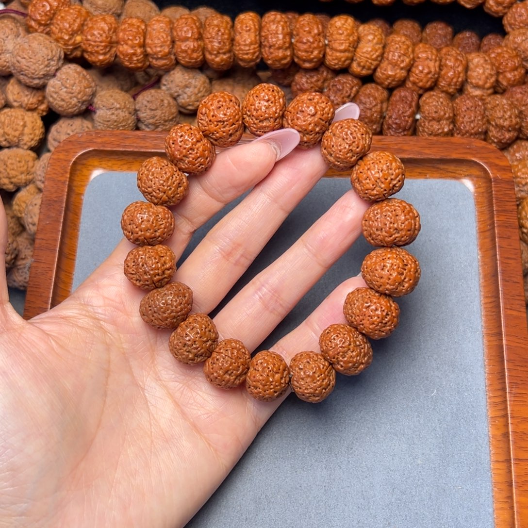 菩提25号金刚菩提菠萝蜜19