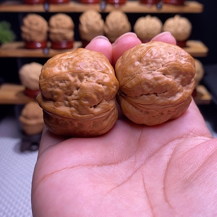 木质类云铁噬金蛤蟆头28号