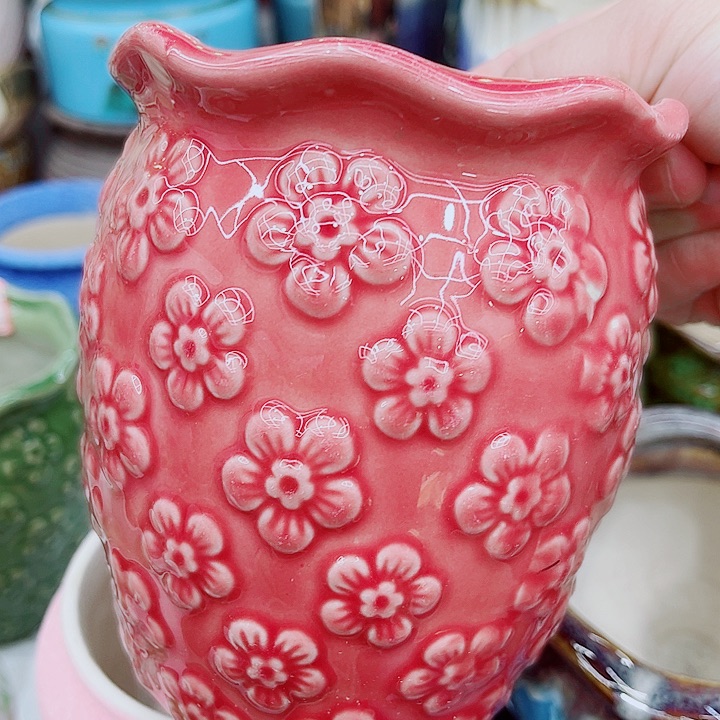 多肉植物陶瓷花盆