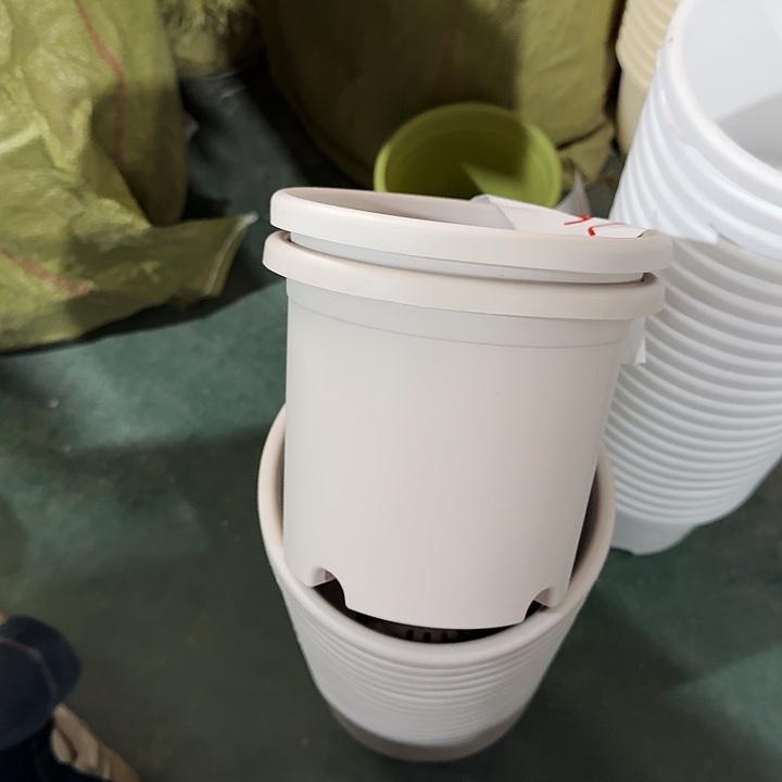 瑕疵2#灰白12个无托