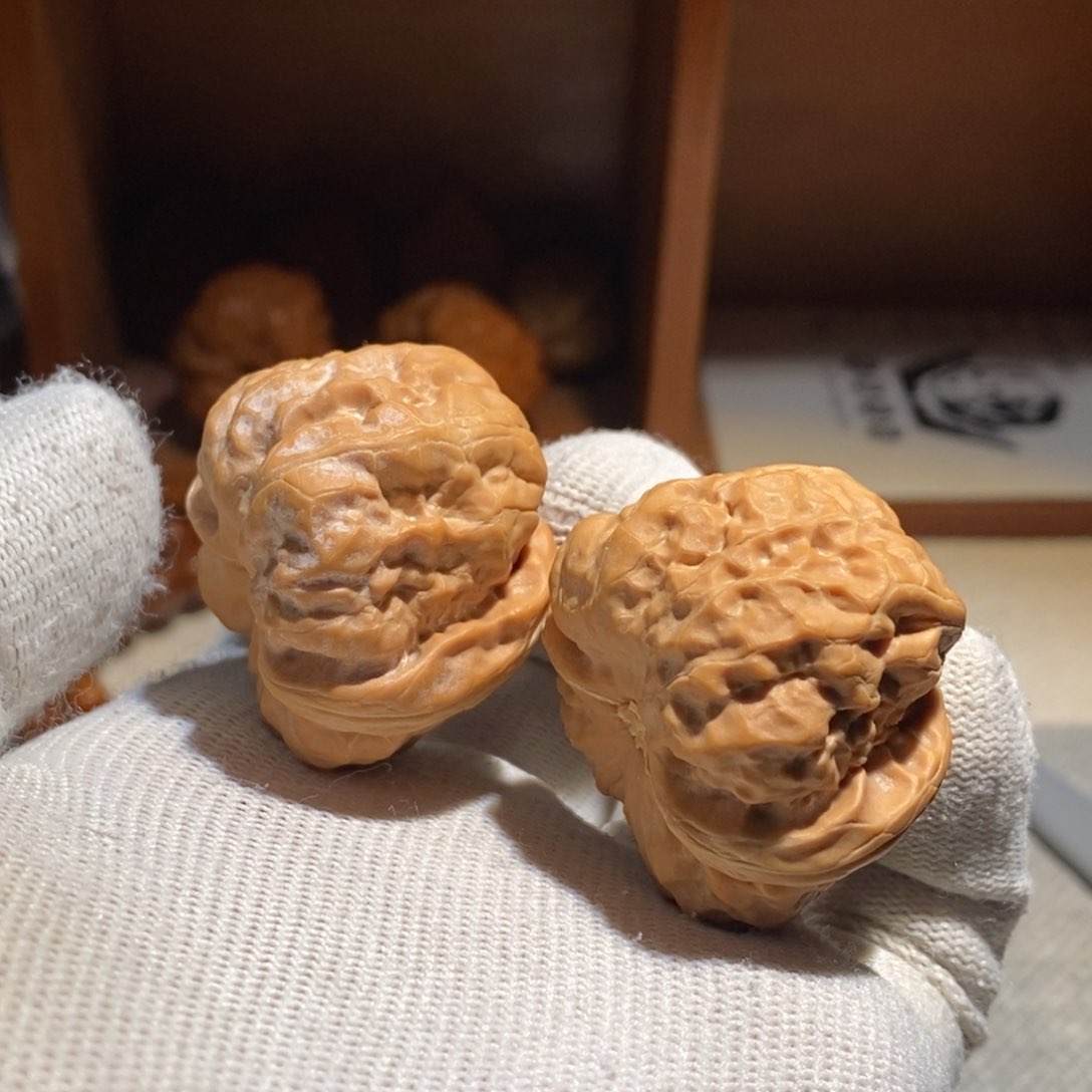 文玩核桃把件万蛤蟆H48