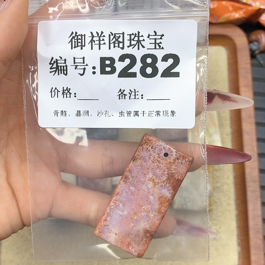 硅化珊瑚（珊瑚玉）颈饰未镶嵌闪****?