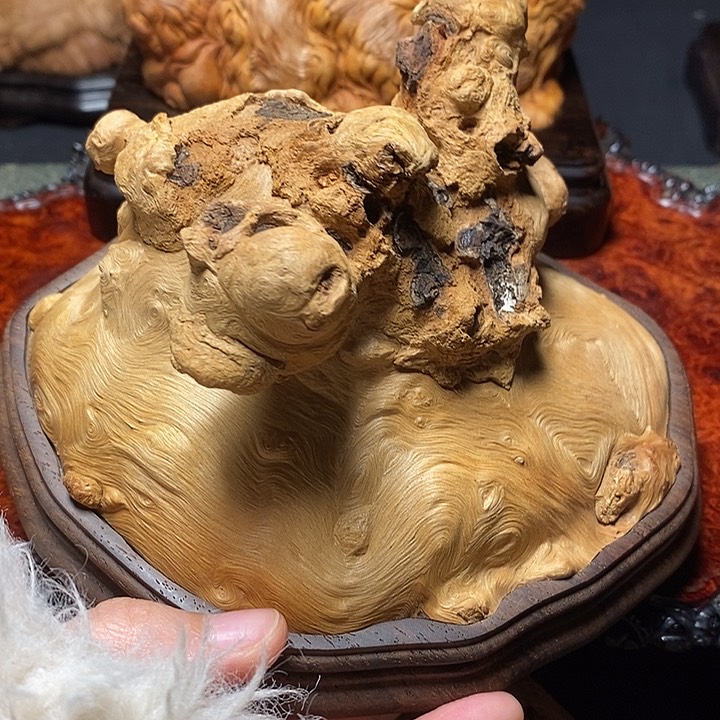 荔枝木荔枝木荔枝木