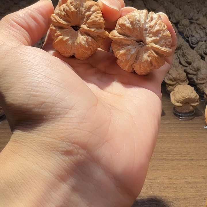 袜***.核桃蛤蟆的眼睛是真的好看