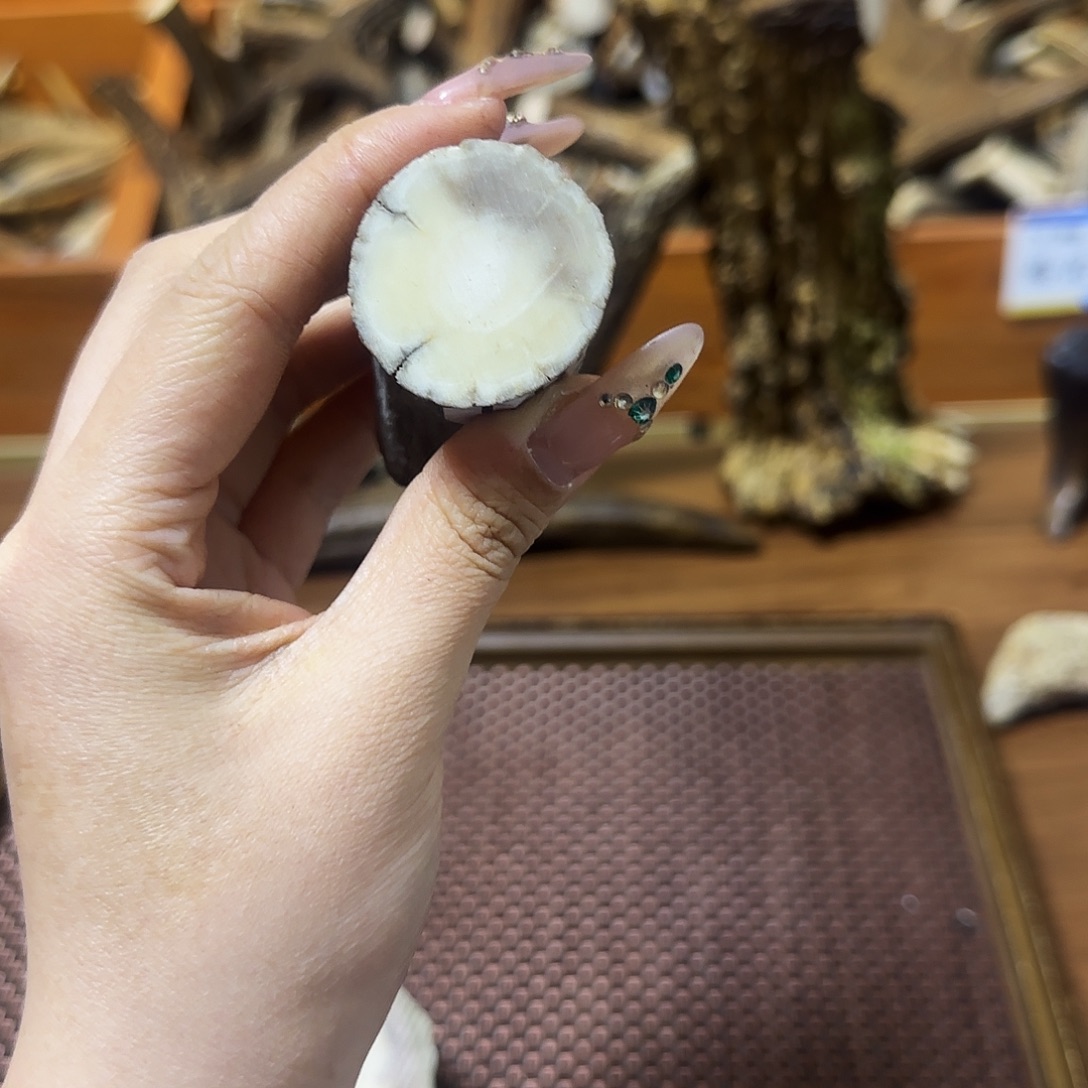 鹿骨手串/手链1489根段