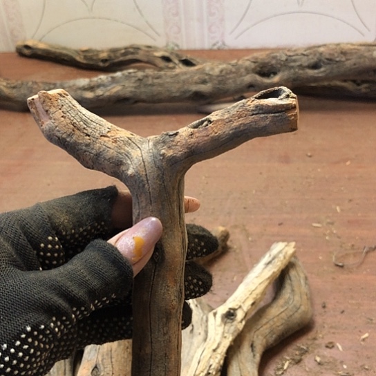 大果紫檀（缅甸花梨）杰**少