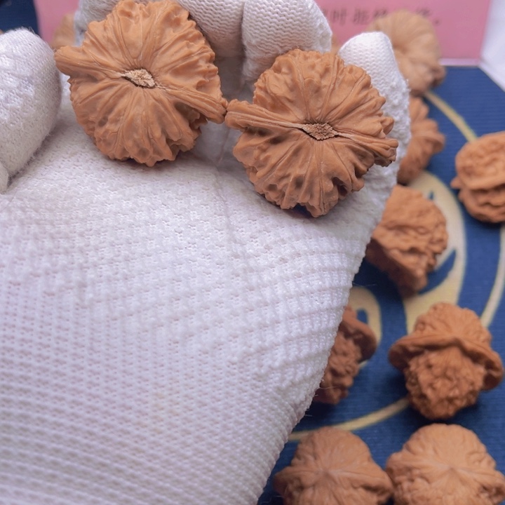 A****₇全品无修福利款白狮子