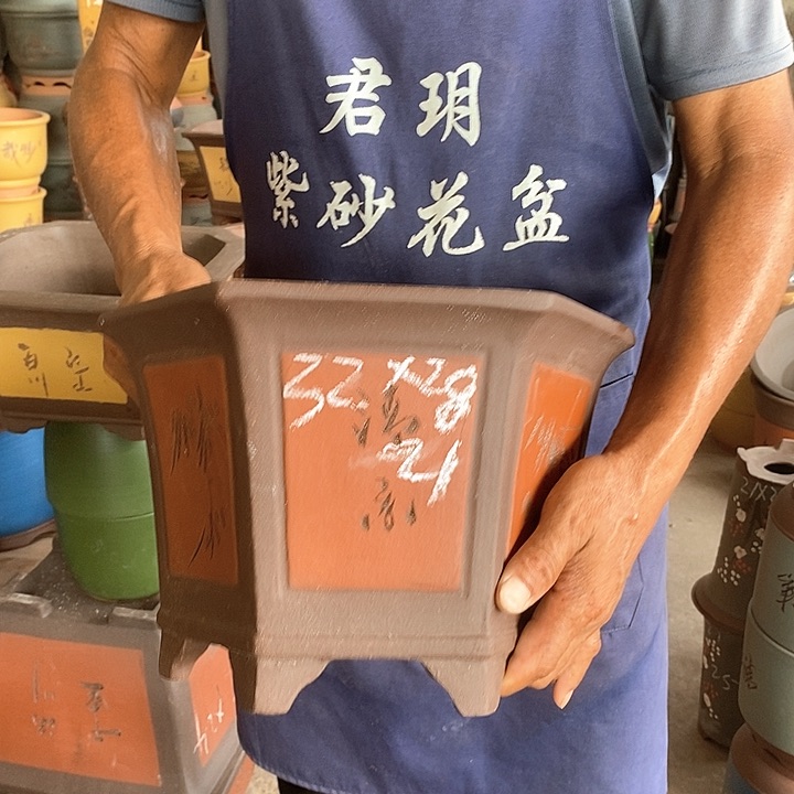 紫砂花盆盆栽植物花卉苗木种植