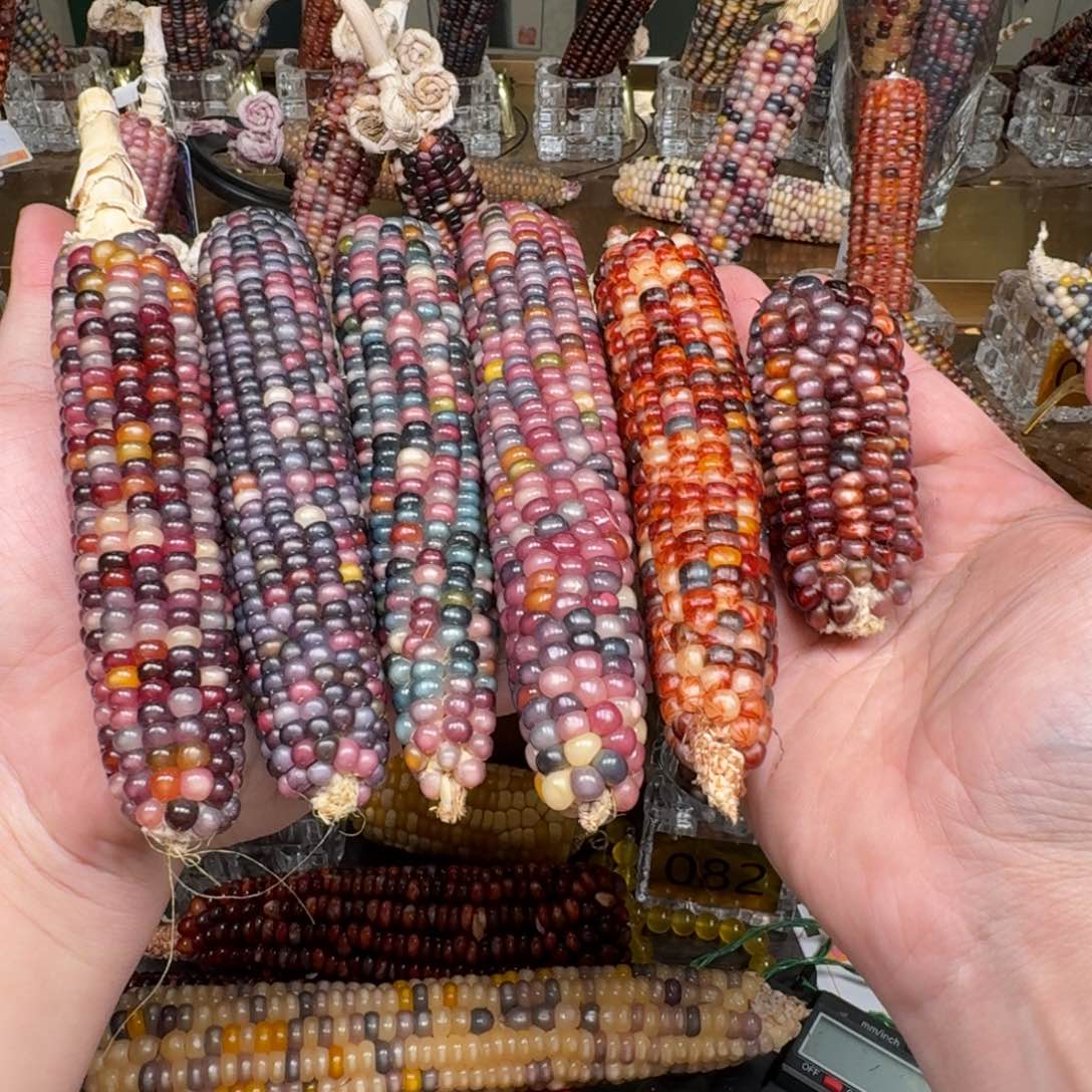 柏香籽/百香籽吊坠不*.