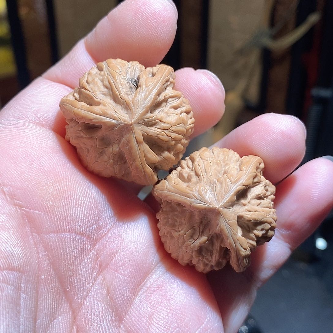 文玩核桃把件35文山三棱全品