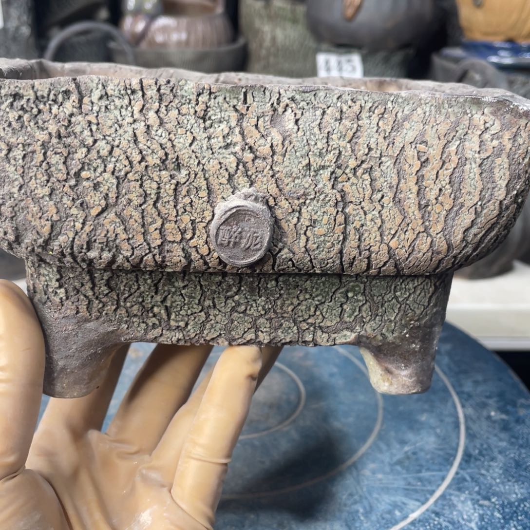 红陶一个人的时候就会