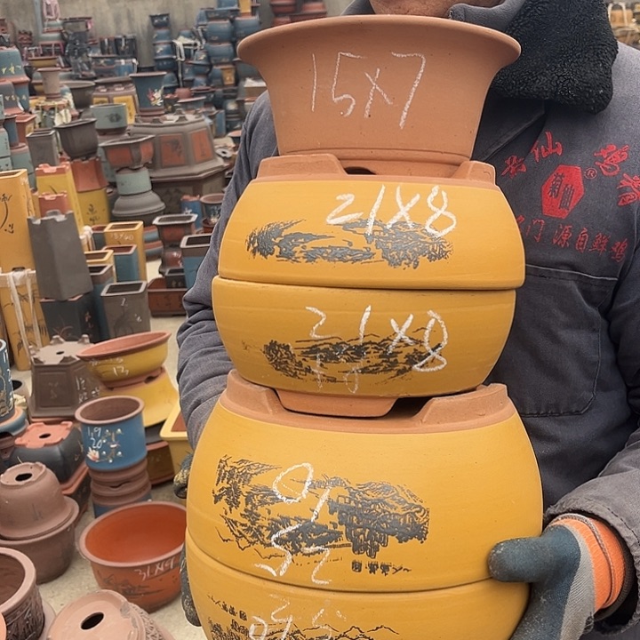 紫砂紫砂花盆和一条青