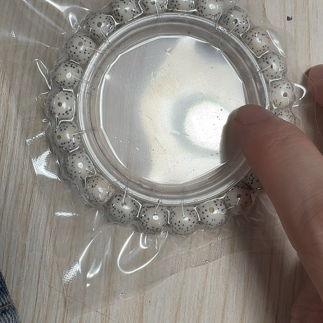 星月菩提手串B12          