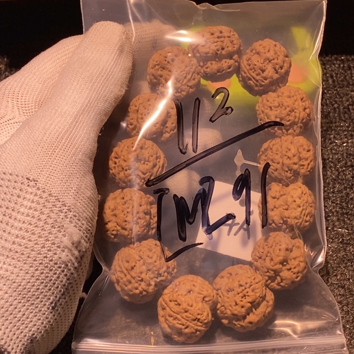 【***】吊坠金刚菩提哈喽啊