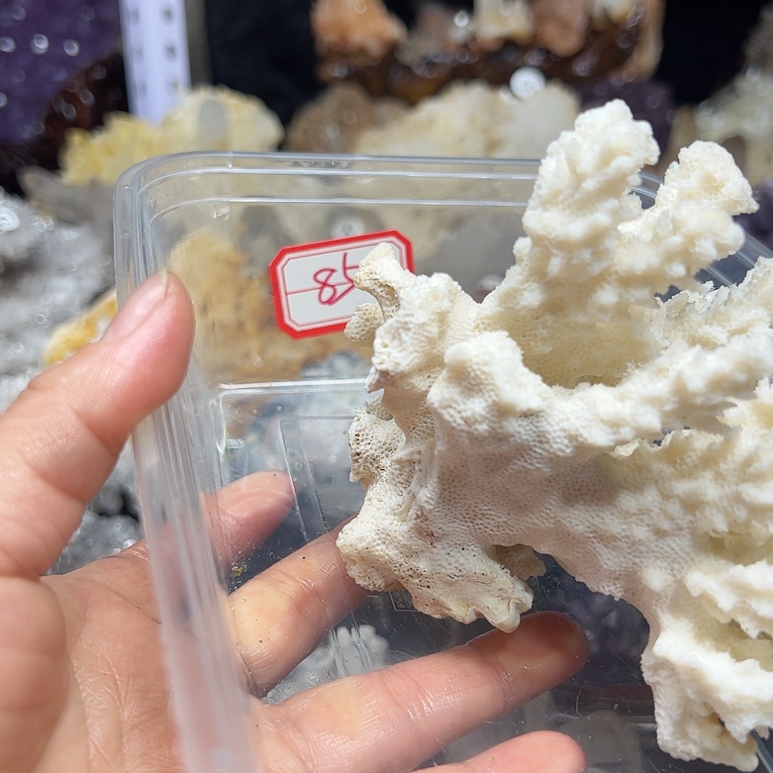 蒋****珠宝半成品紫晶银S925镶嵌