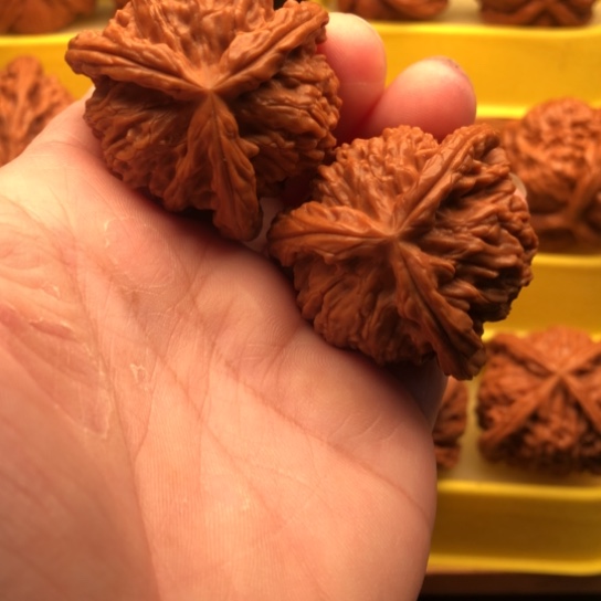 抖***米核桃核桃核桃核桃咯