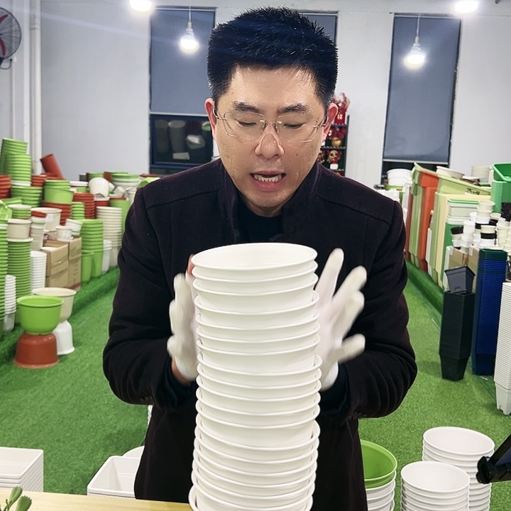 正品矮陶口15高11白色10只带托