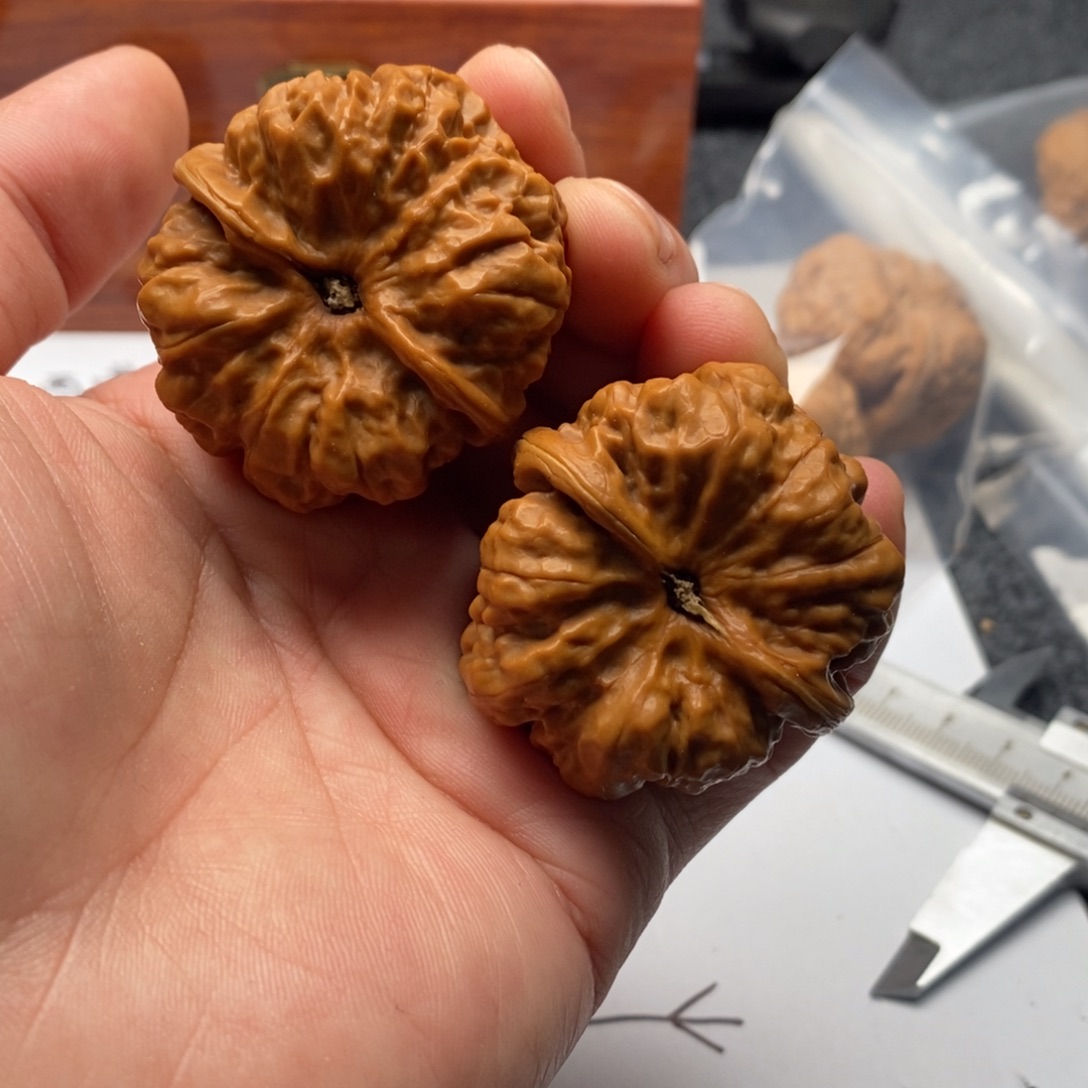 智***弘好的我真的是太喜欢了
