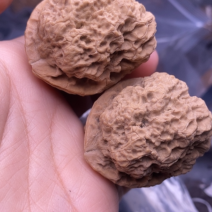 把件文玩核桃   144