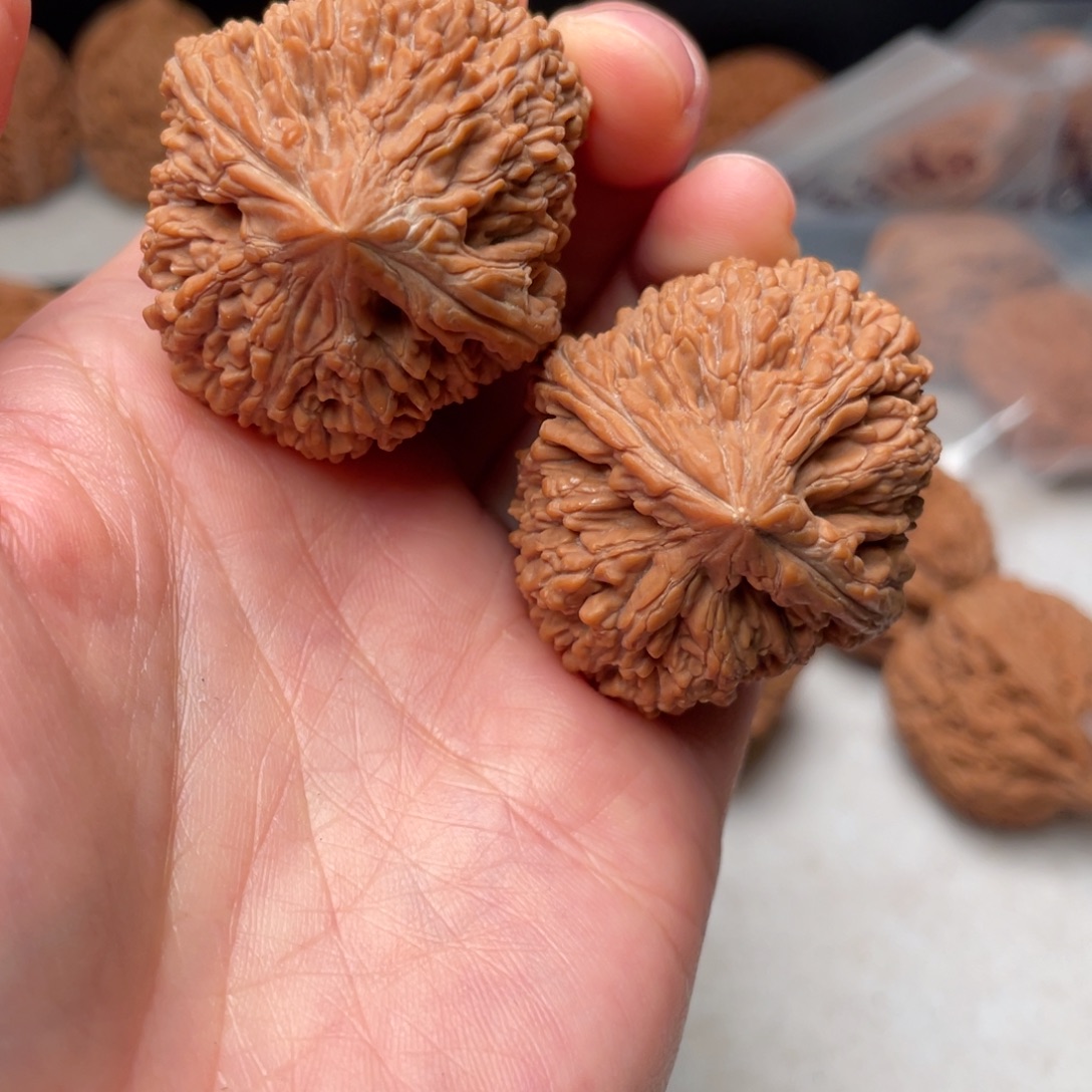 穿***猎木质类大蒜头37尺全品