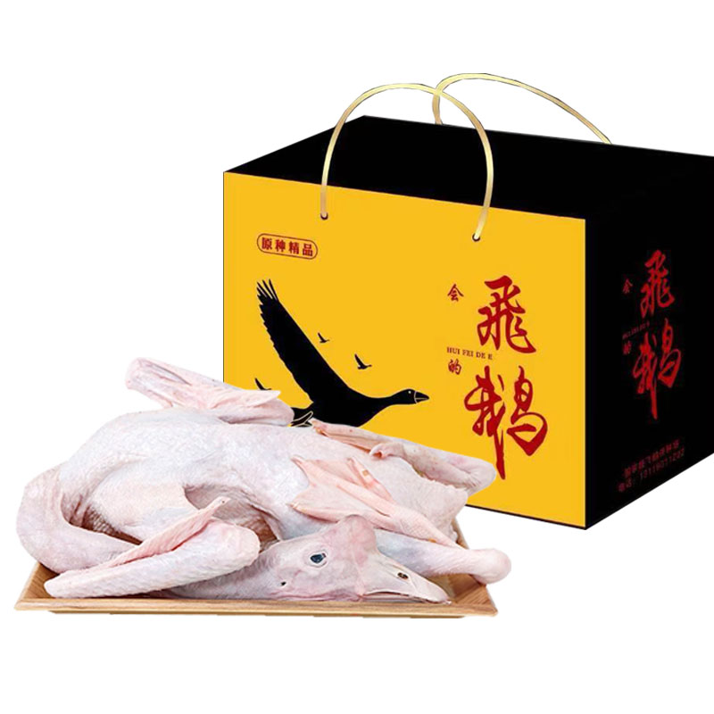 新疆飞鹅原种飞鹅整只
