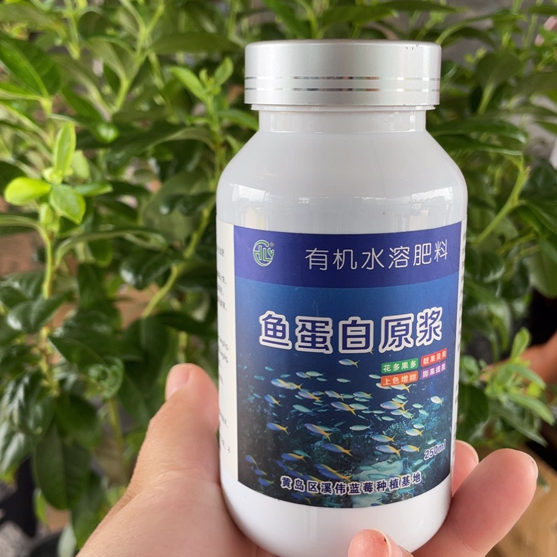 一瓶鱼蛋白送一棵修剪29。无售后