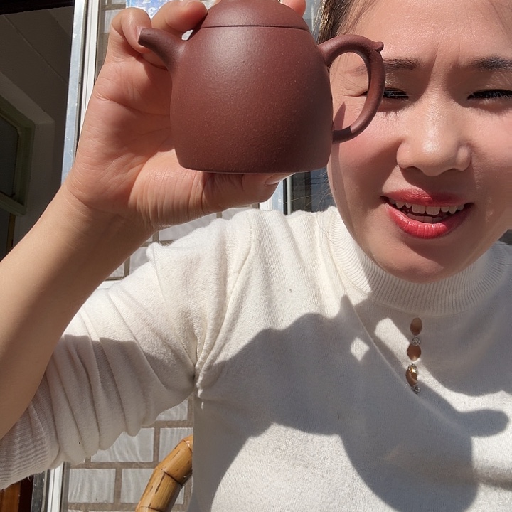 紫砂茶壶紫泥秦权200cc