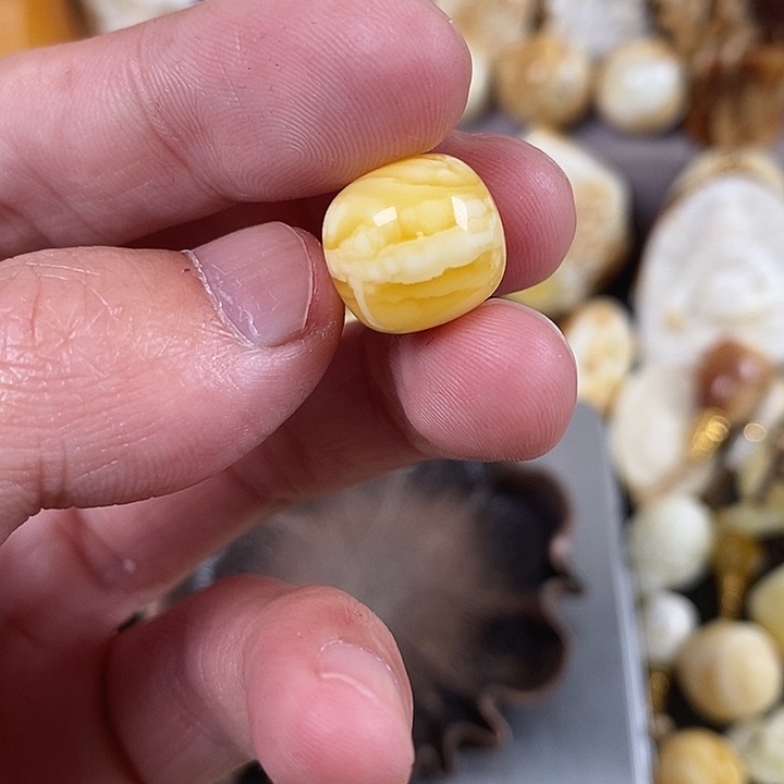 琥珀裸石未镶嵌我