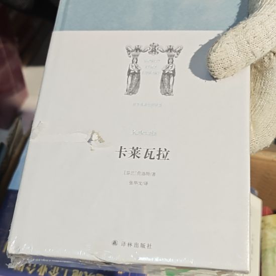 卡莱瓦拉精装塑封库存书