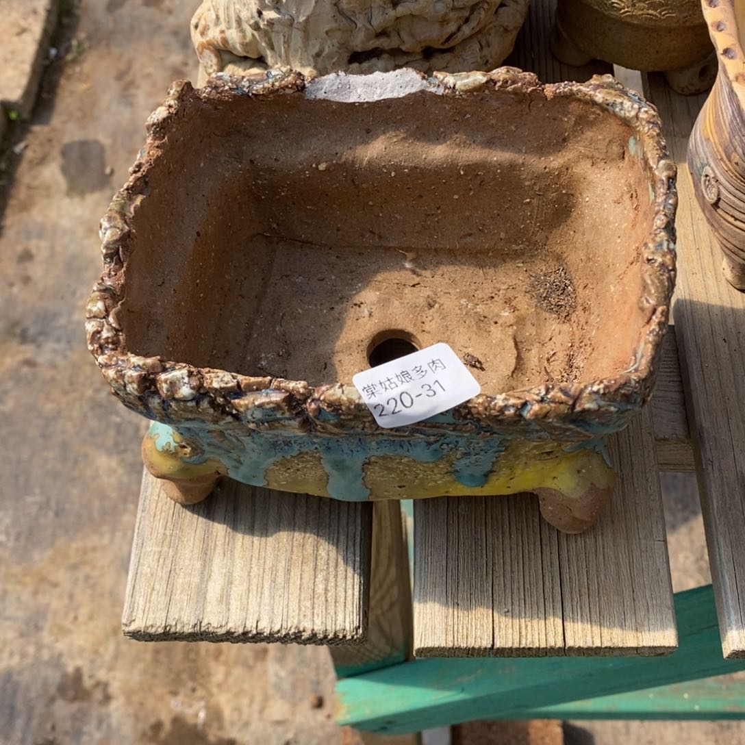 红陶是**吖31号多肉盆瑕疵瑕疵