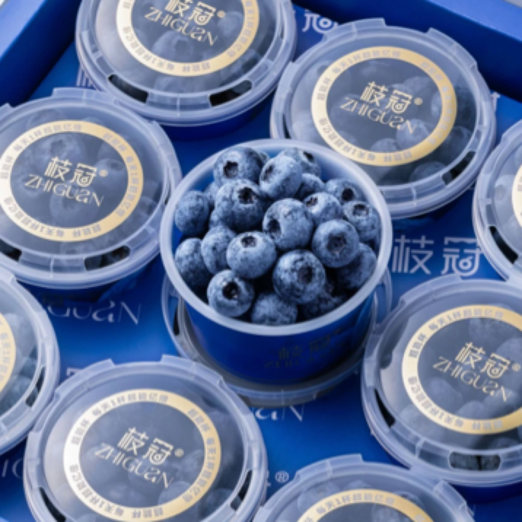 云南枝冠蓝莓18mm+ 100g/杯