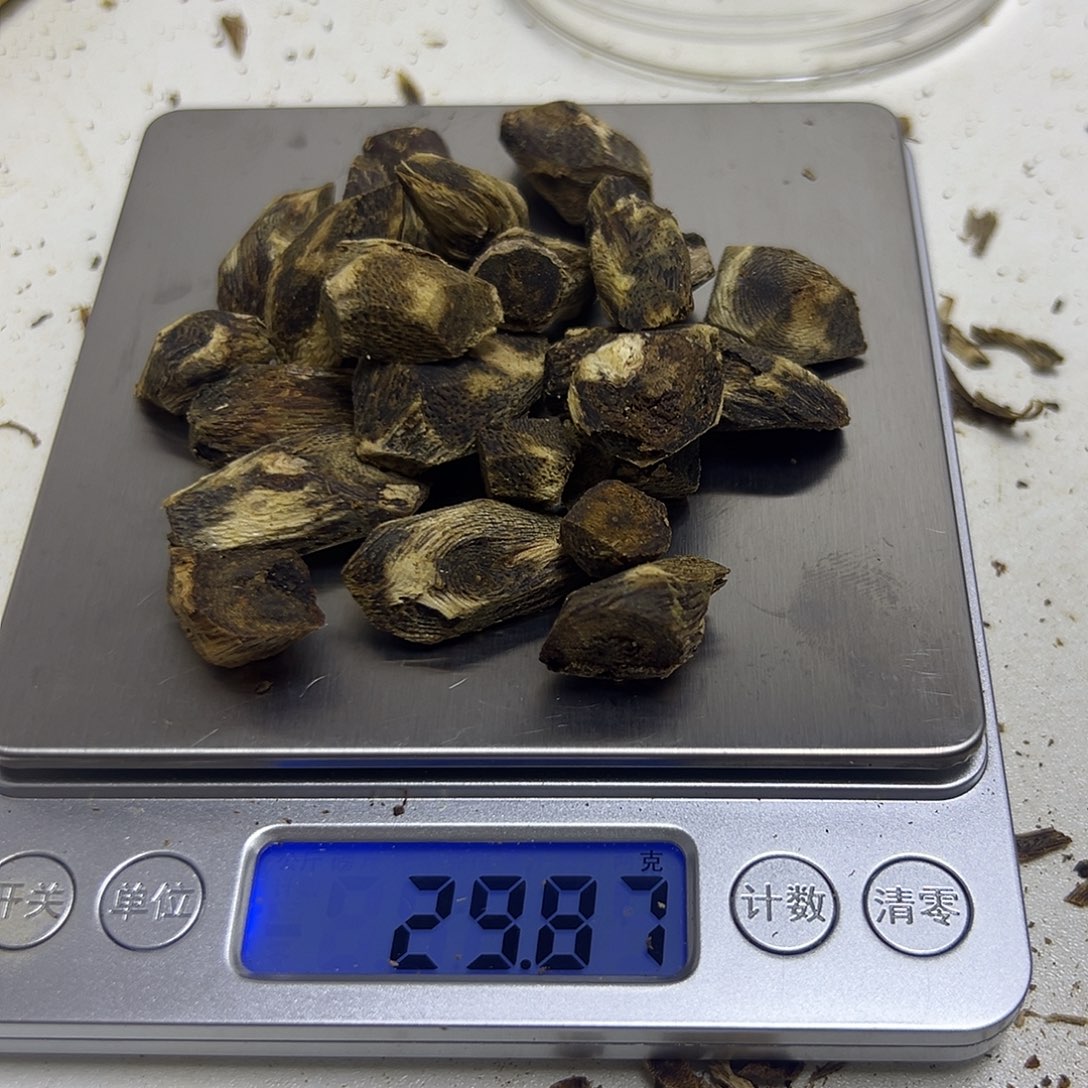 ****七沉香碎屑沉香沉水料未勾25颗