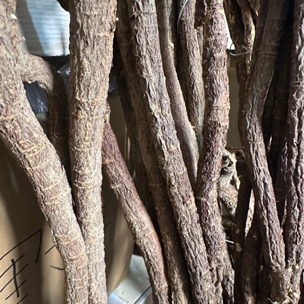 【甘草】现挖甘草老条切段玉永严选直发