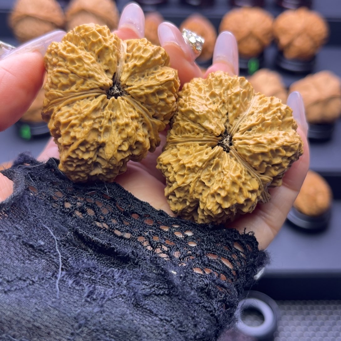 ༺***༻文玩核桃把件蚂蚁纹