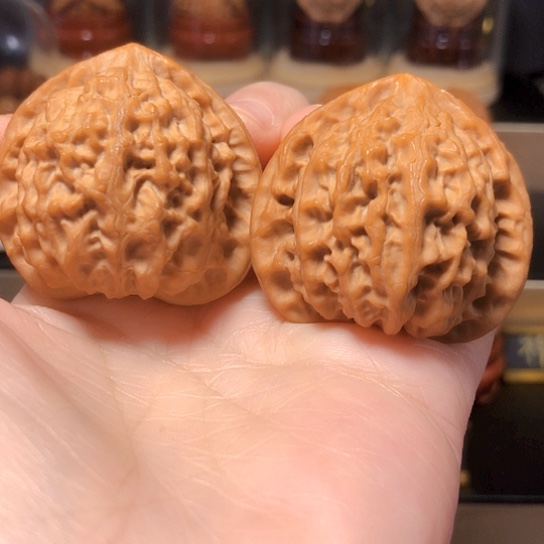 精品：平谷大金牛