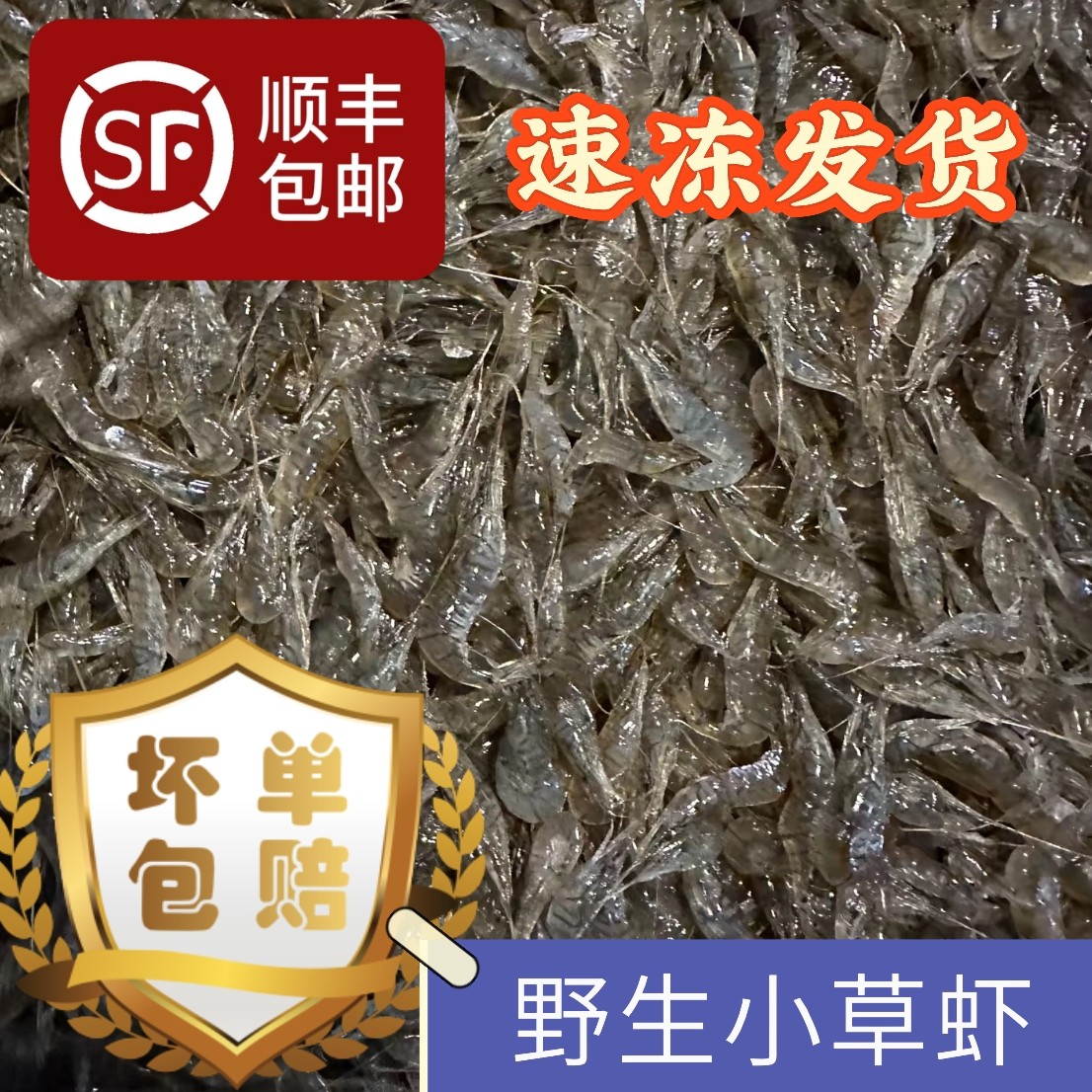 小草虾6斤速冻锁鲜（嫌小勿拍）（嫌小勿拍）小河虾