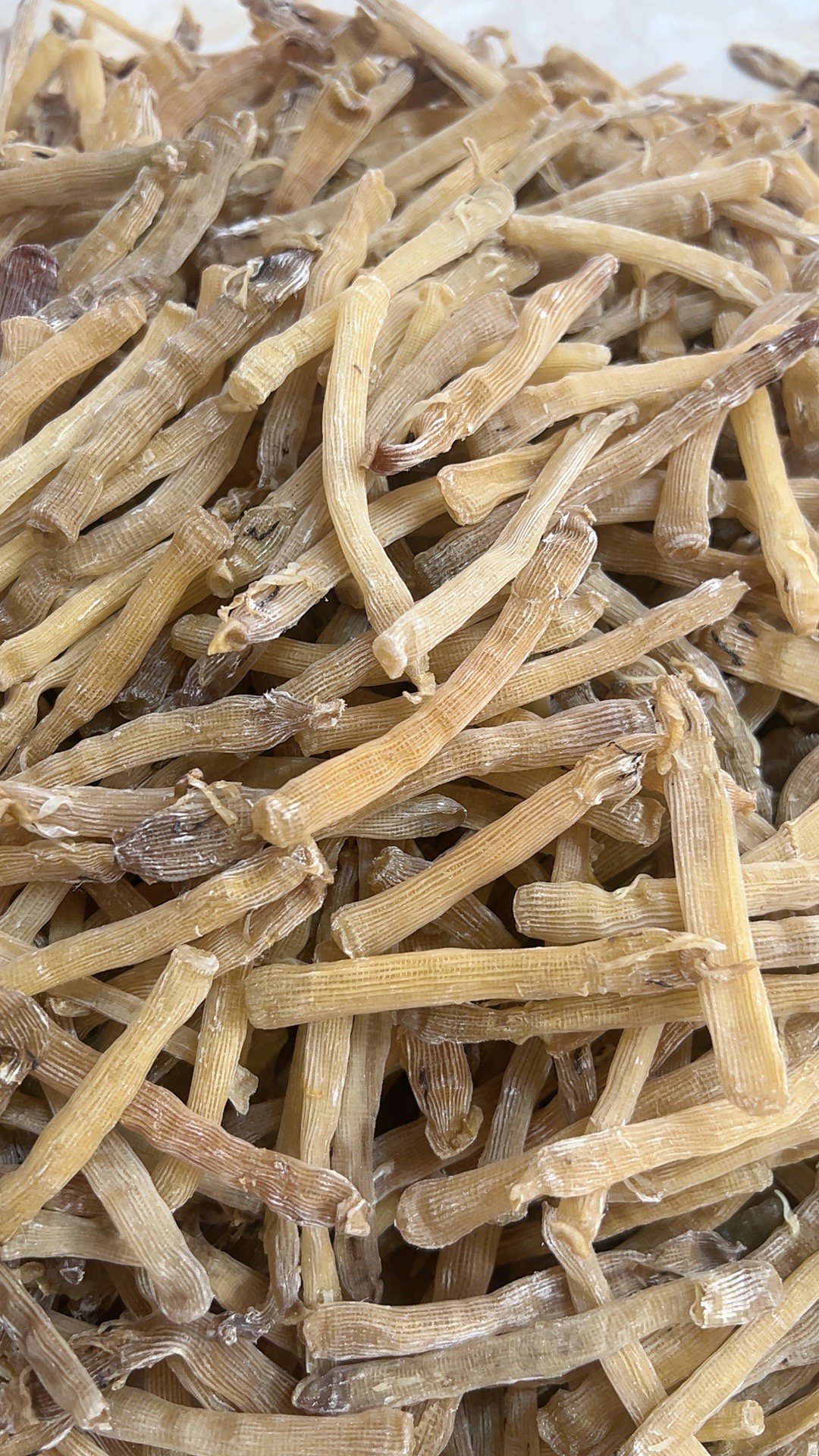 沙虫干北海特产干货滋补养生断虫