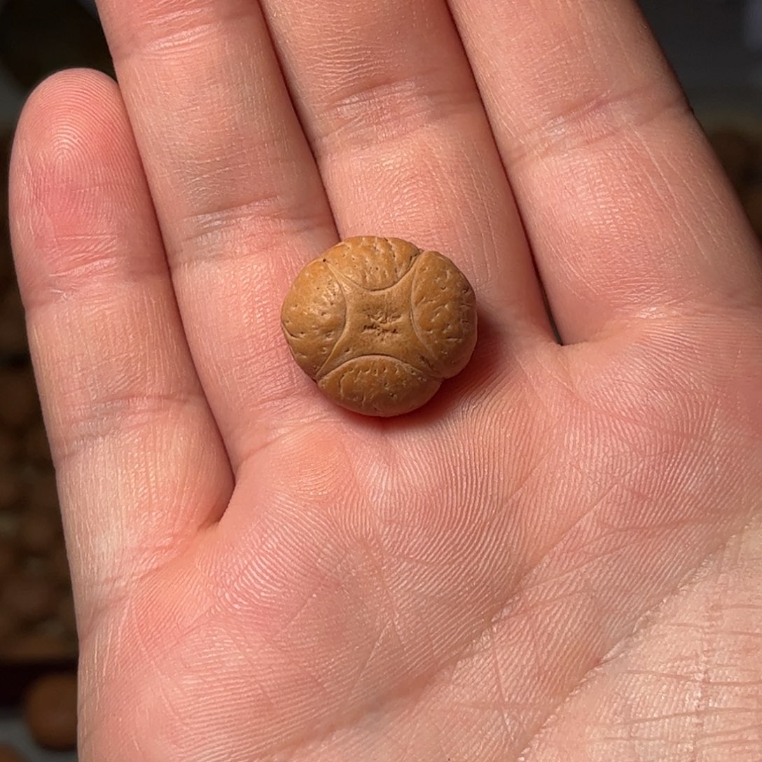 桃核吊坠19.5麒麟眼，开孔不退，偏远不包