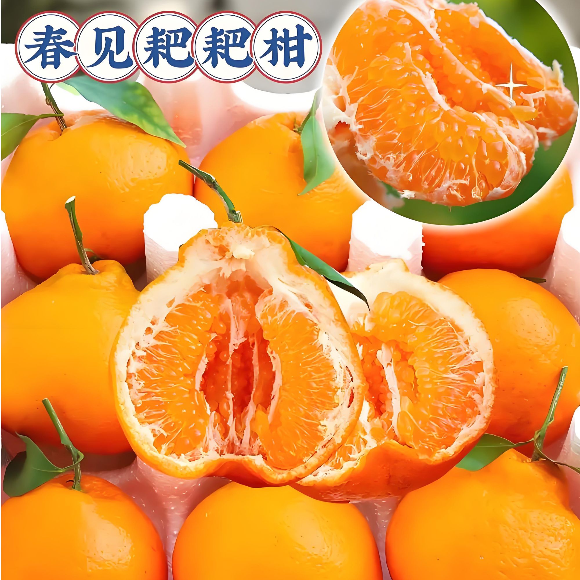 新鲜采摘正宗四川春见耙耙柑爆汁爆甜