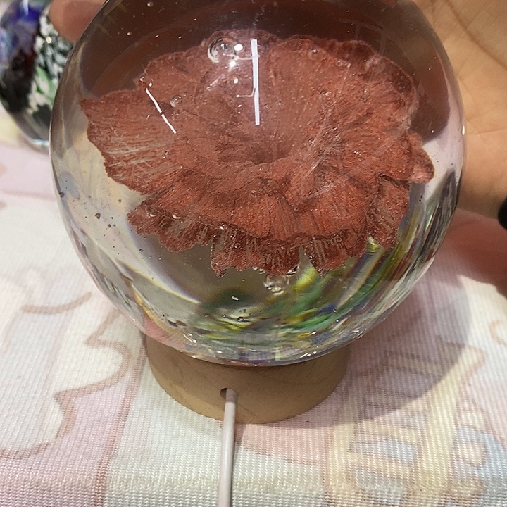 獬***风琉璃12556655655555365666699