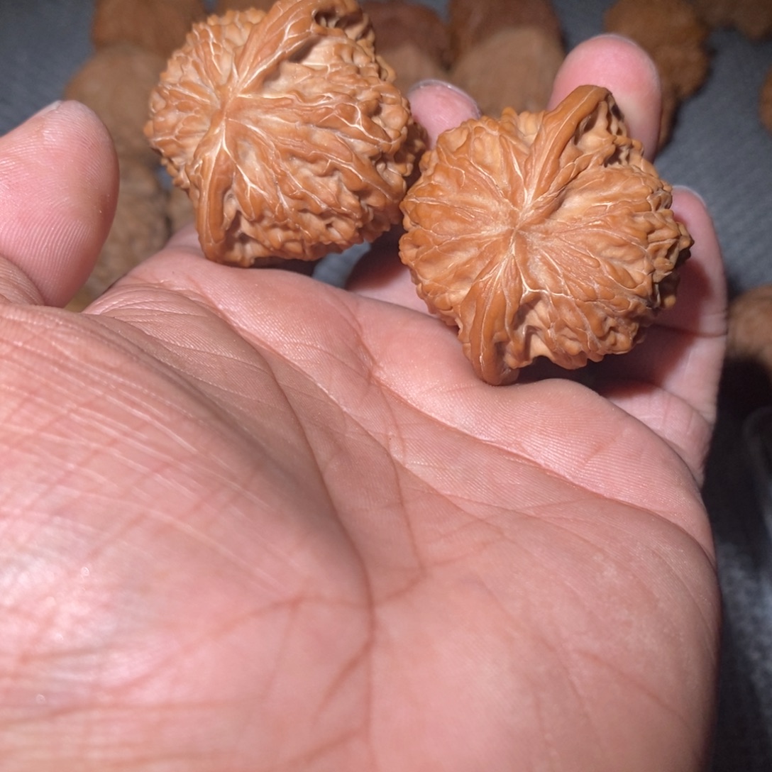炎***炎把件桃核42磨盘。          
