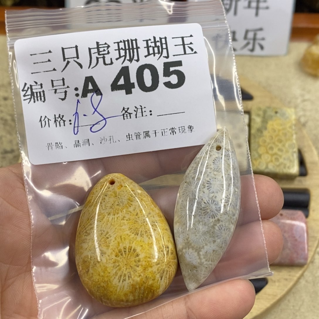 硅化珊瑚（珊瑚玉）1未镶嵌用****5