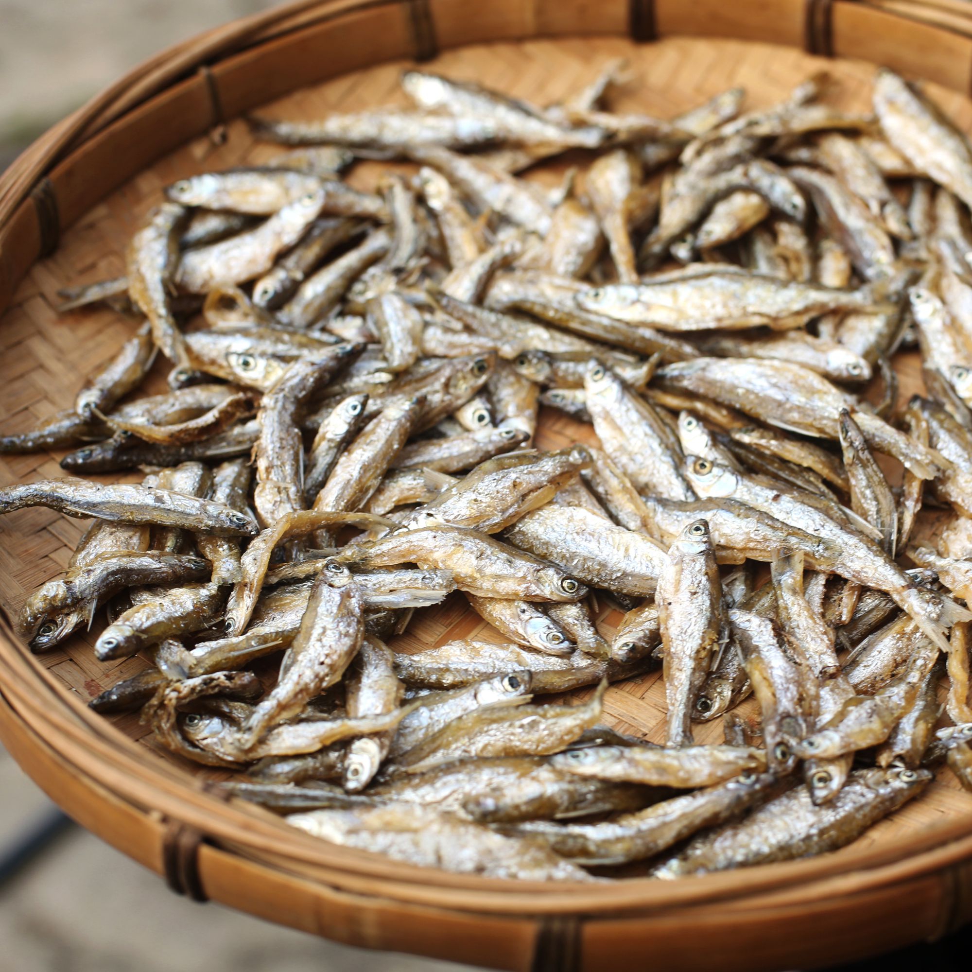 湘西小白条淡水鱼湘西河流生长小鱼干