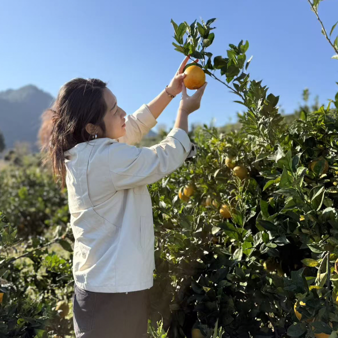（脐橙）永泰同安镇原产地发货（5斤装）