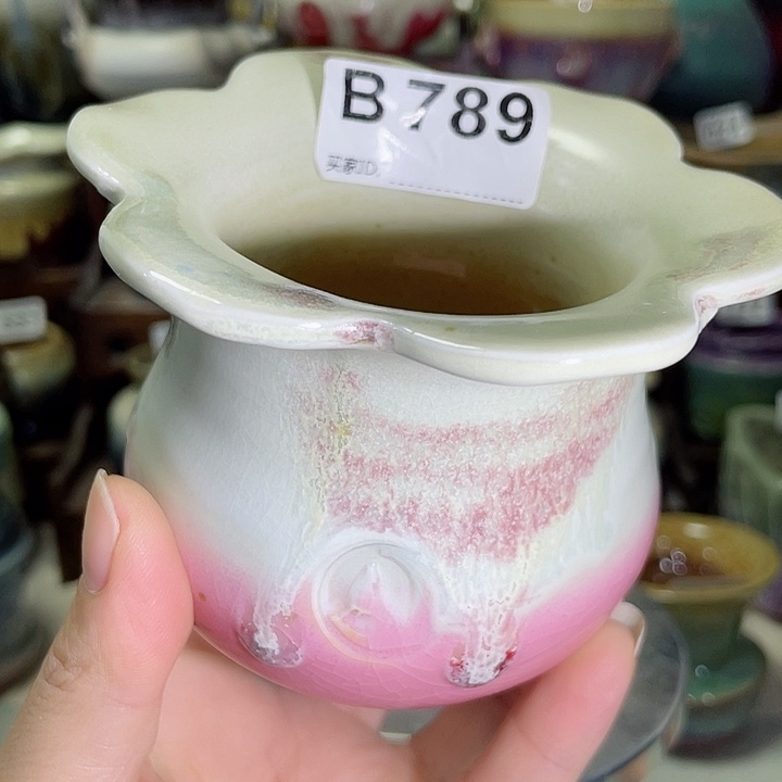 狼盆内口径6高度8