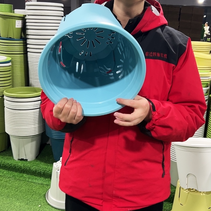 微瑕圆控口30高27蓝色4只无托