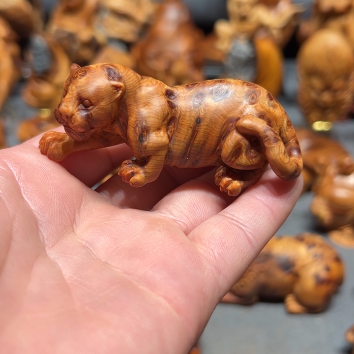 柏木（崖柏）点点关注