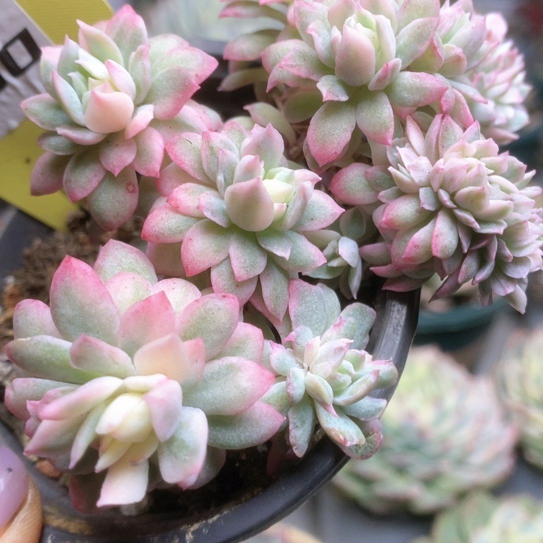 160哈哈哈哈哈哈哈哈哈哈