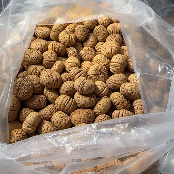 大***蛋桃核吊坠盘锦夹板