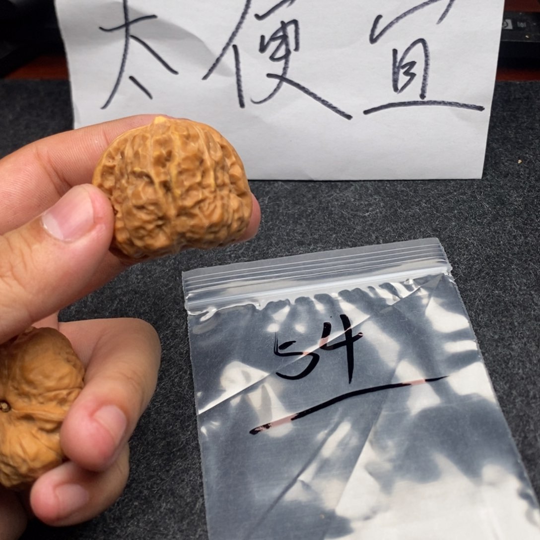 哈哈哈哈我的天啊我